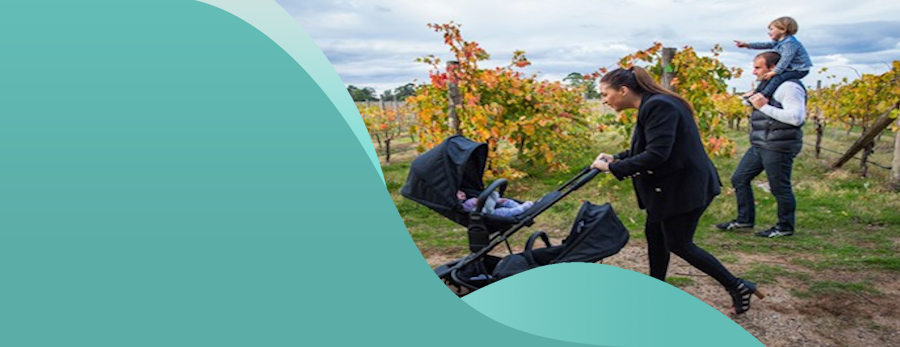 Britax Capsule Hire