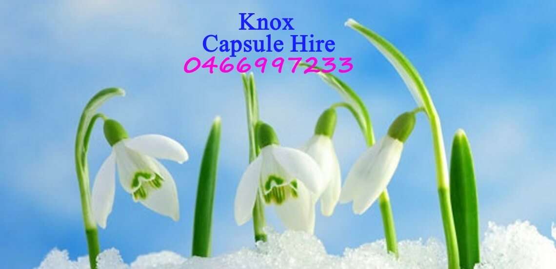 knox baby capsule hire